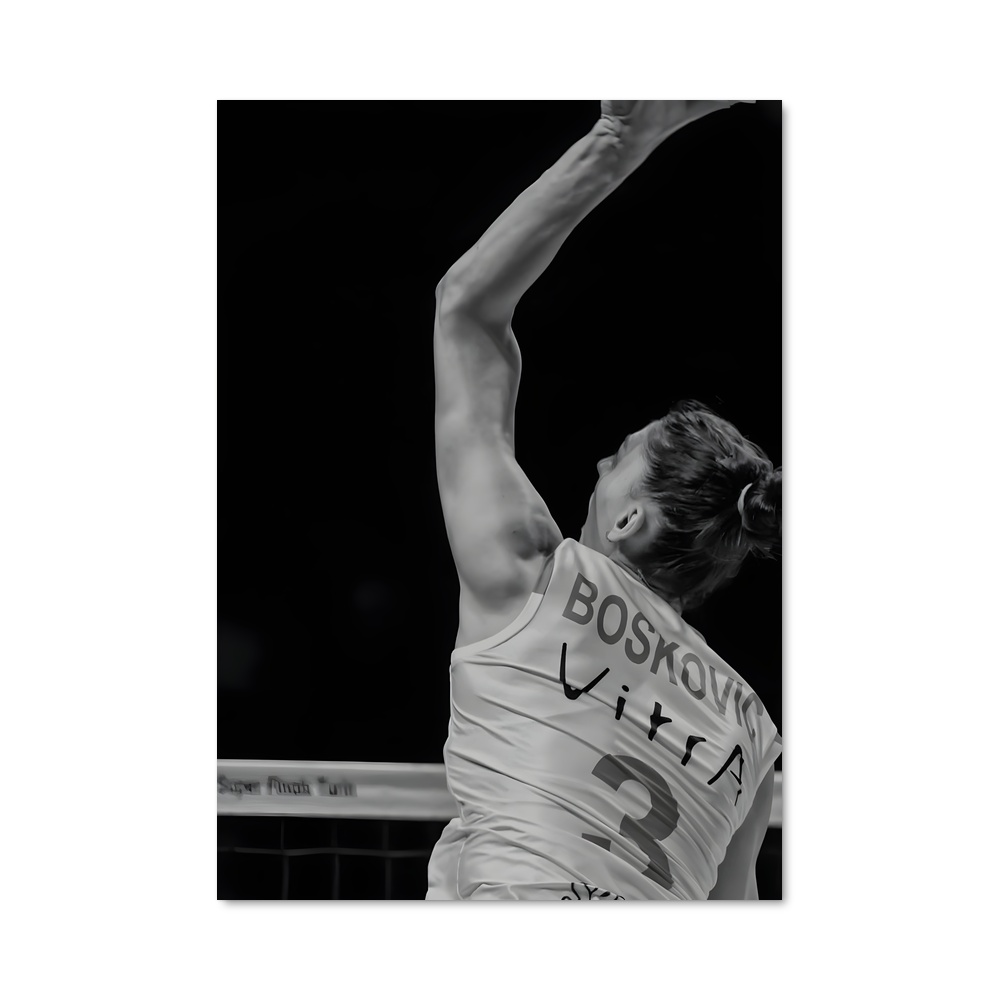 Poster Tijana de boskovic